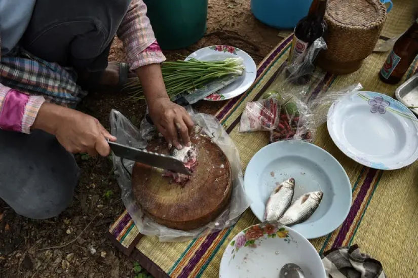 El mortal plato tailandés Koi Pla, que mata a miles de personas cada año