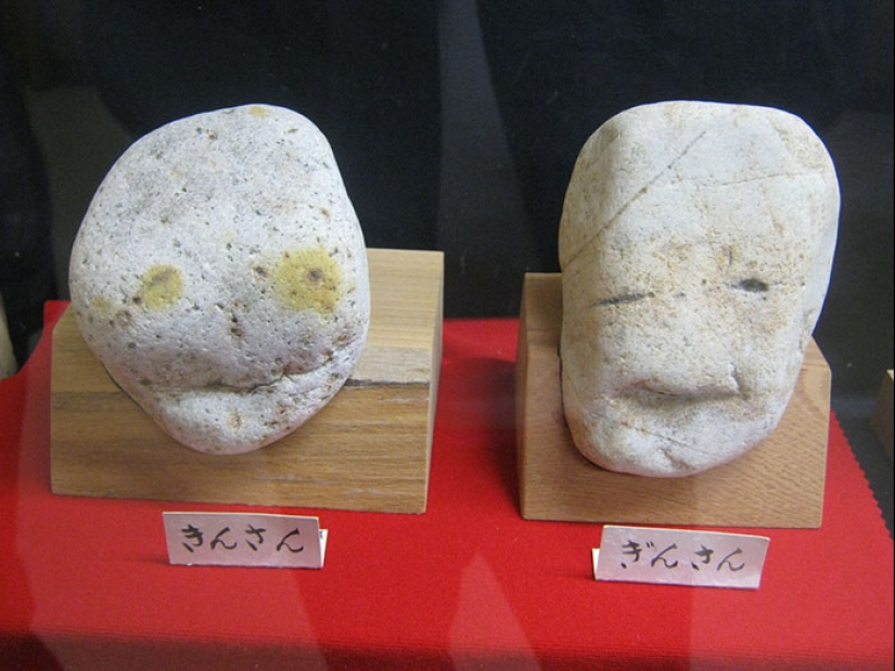 El Museo Tinsekikan de Japón colecciona piedras en forma de caras