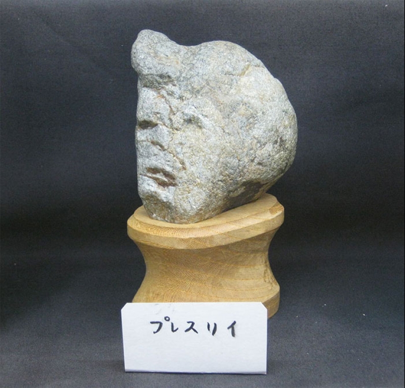 El Museo Tinsekikan de Japón colecciona piedras en forma de caras