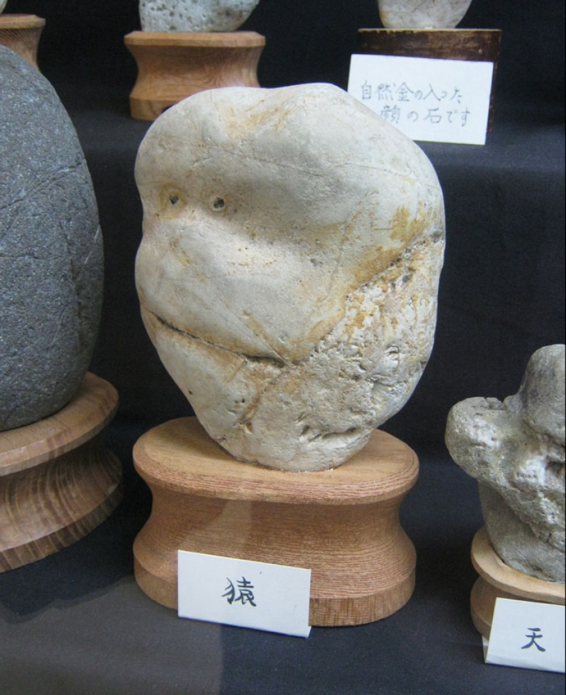 El Museo Tinsekikan de Japón colecciona piedras en forma de caras