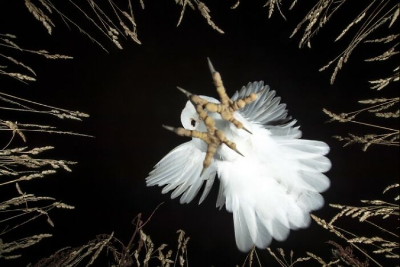 El poder de la fotografía: 20 imágenes ganadoras anunciadas en los premios 1839 2024