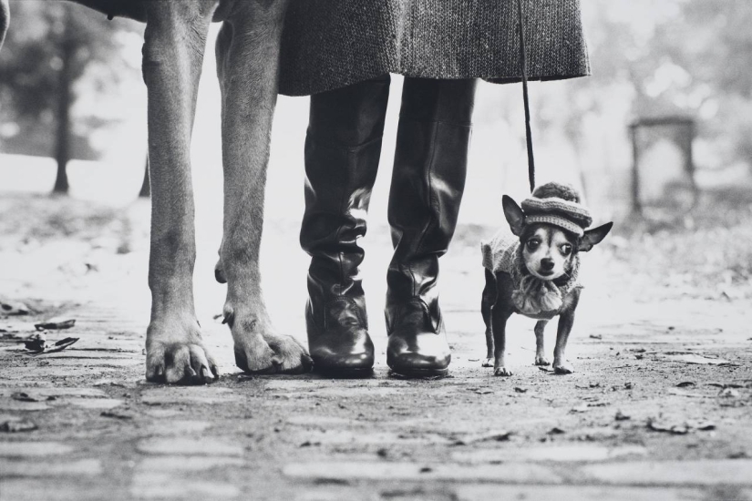 El viaje en el camino de la vida: expresiva de fotos clásicas de Elliott Erwitt