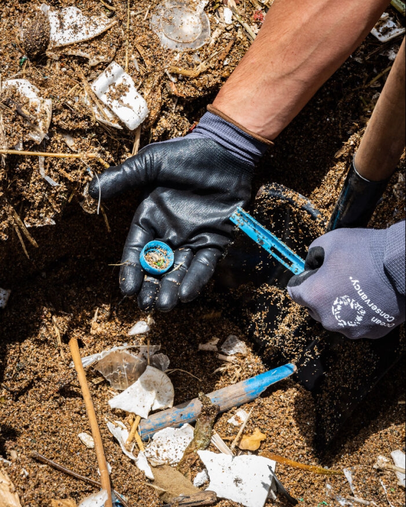 El youtuber MrBeast logró animar a la comunidad a retirar más de 17.000 toneladas de basura del océano