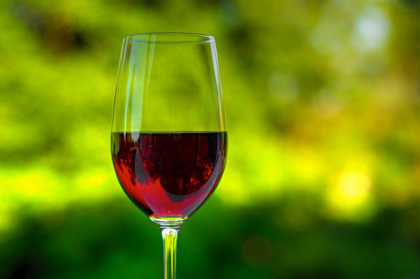 Elixir of the Gods: 36 interesting facts about wine