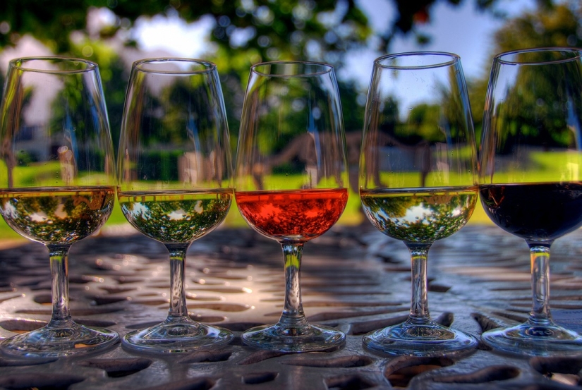 Elixir of the Gods: 36 interesting facts about wine