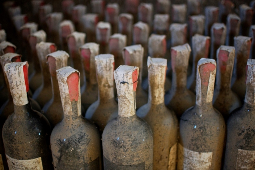 Elixir of the Gods: 36 interesting facts about wine