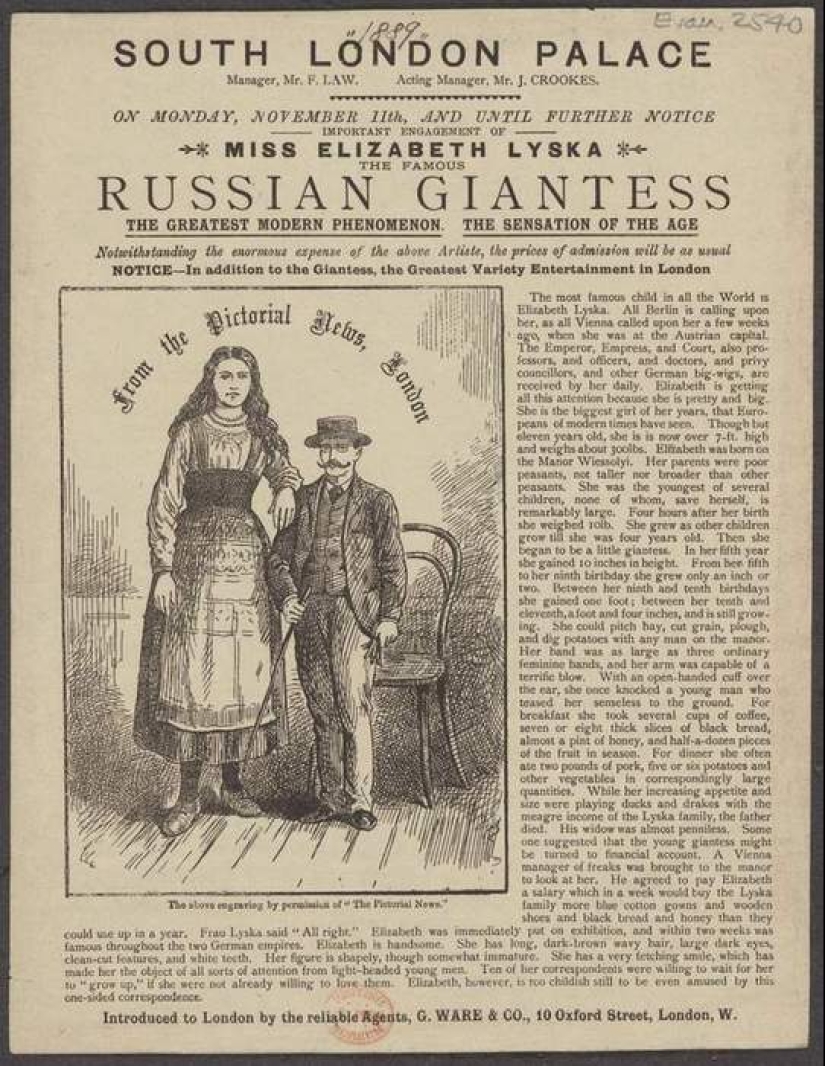 Elizabeth Lysko is the tallest girl of the Russian Empire, and possibly the world