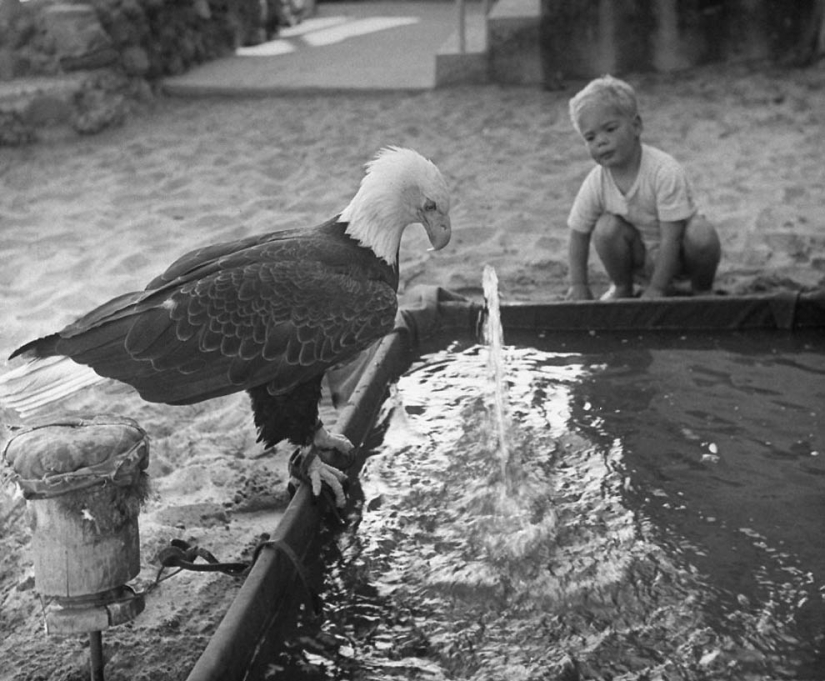 Elogie el agua-una selección de fotos del archivo de la VIDA