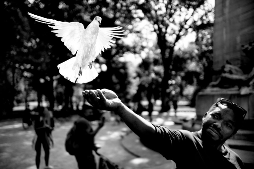 En blanco y negro fotografía de la calle por eminentes maestros de la fotografía de la calle de Alan Schaller