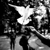 En blanco y negro fotografía de la calle por eminentes maestros de la fotografía de la calle de Alan Schaller