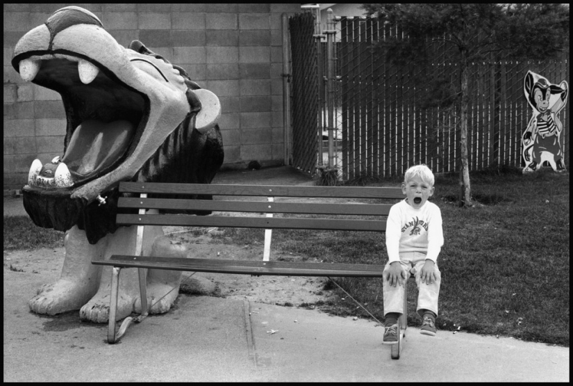 En el marco del icónico fotógrafo Dennis Stock