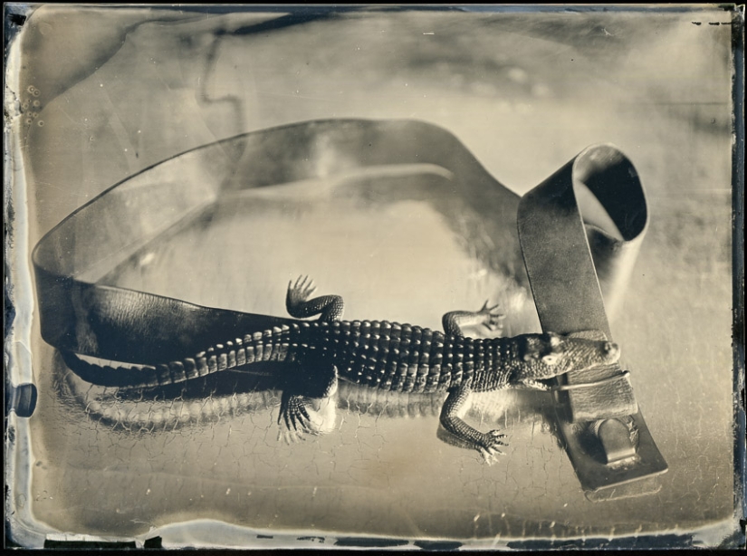 En el mundo de las hadas ambrotypes