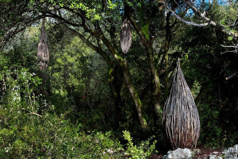 En un año de vivir en el bosque, Spencer Biles lo convirtió en un cuento de hadas