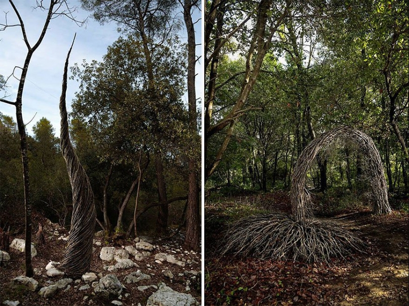 En un año de vivir en el bosque, Spencer Biles lo convirtió en un cuento de hadas