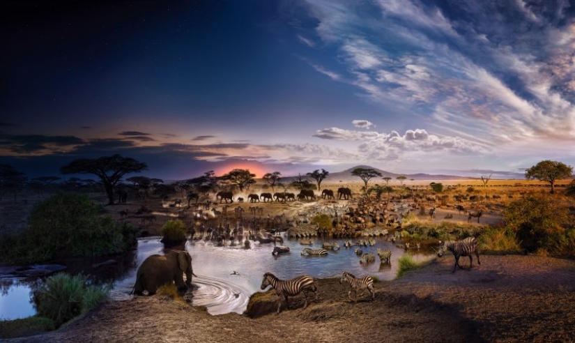 En un día: increíble foto de Stephen Wilkes