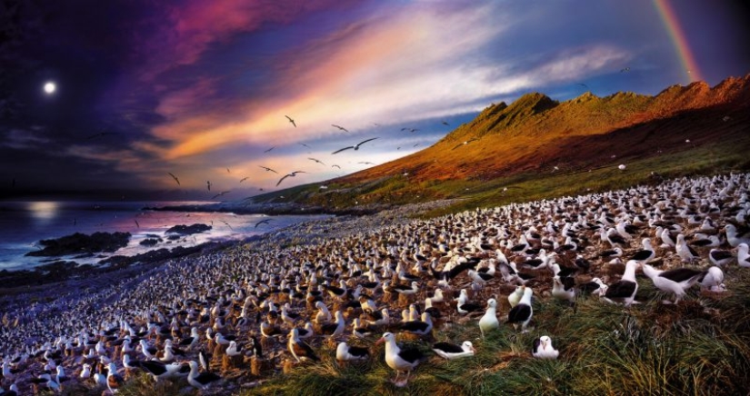 En un día: increíble foto de Stephen Wilkes