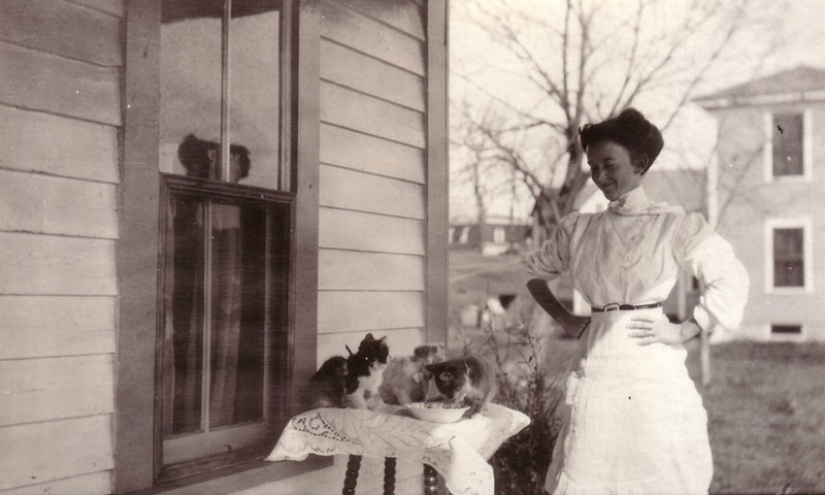 Encantadores gatos vintage que demostrarán que los gatos han gobernado el mundo en todo momento