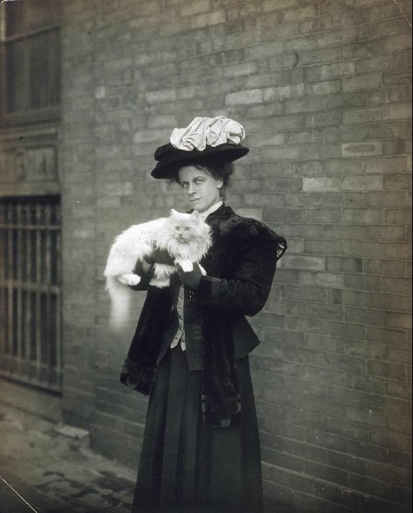 Encantadores gatos vintage que demostrarán que los gatos han gobernado el mundo en todo momento