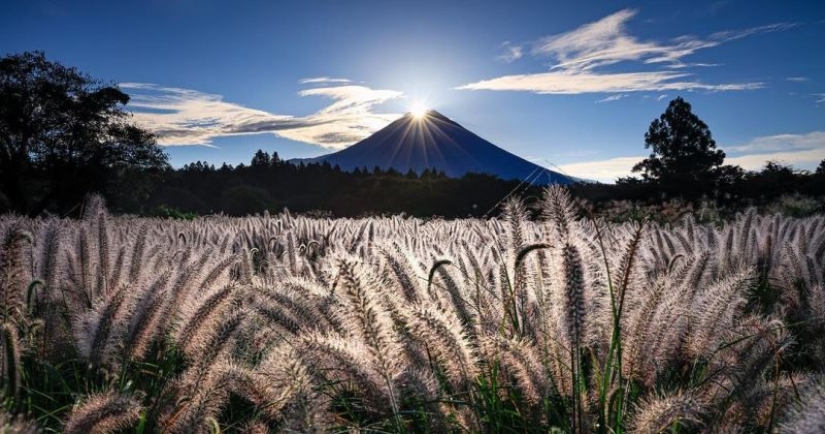 Enfermo terminal Fuji: baker Hasimuki Makoto y su foto de la montaña sagrada