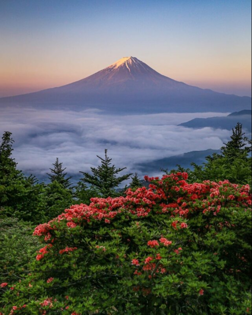 Enfermo terminal Fuji: baker Hasimuki Makoto y su foto de la montaña sagrada