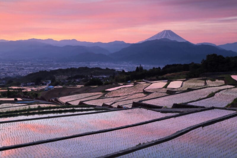 Enfermo terminal Fuji: baker Hasimuki Makoto y su foto de la montaña sagrada