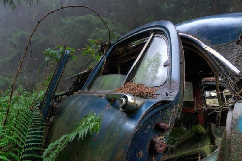 Enorme atasco de tráfico en el bosque belga