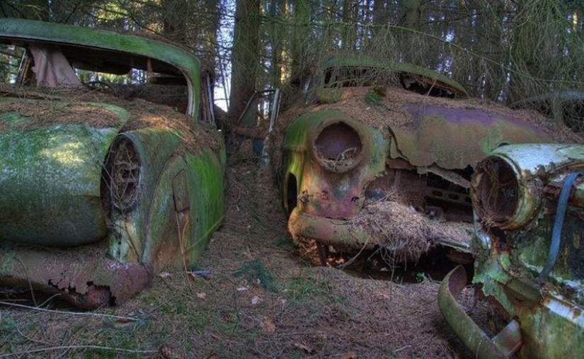 Enorme atasco de tráfico en el bosque belga