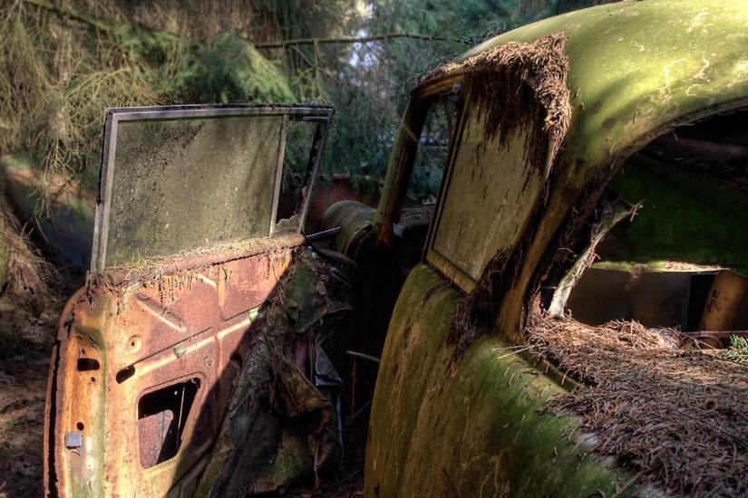 Enorme atasco de tráfico en el bosque belga