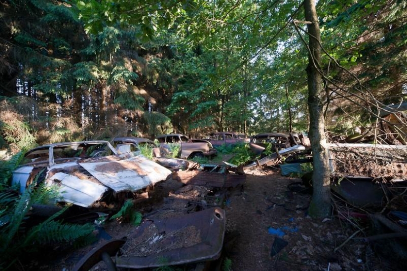 Enorme atasco de tráfico en el bosque belga