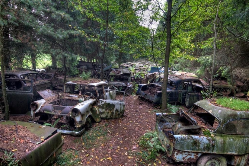 Enorme atasco de tráfico en el bosque belga