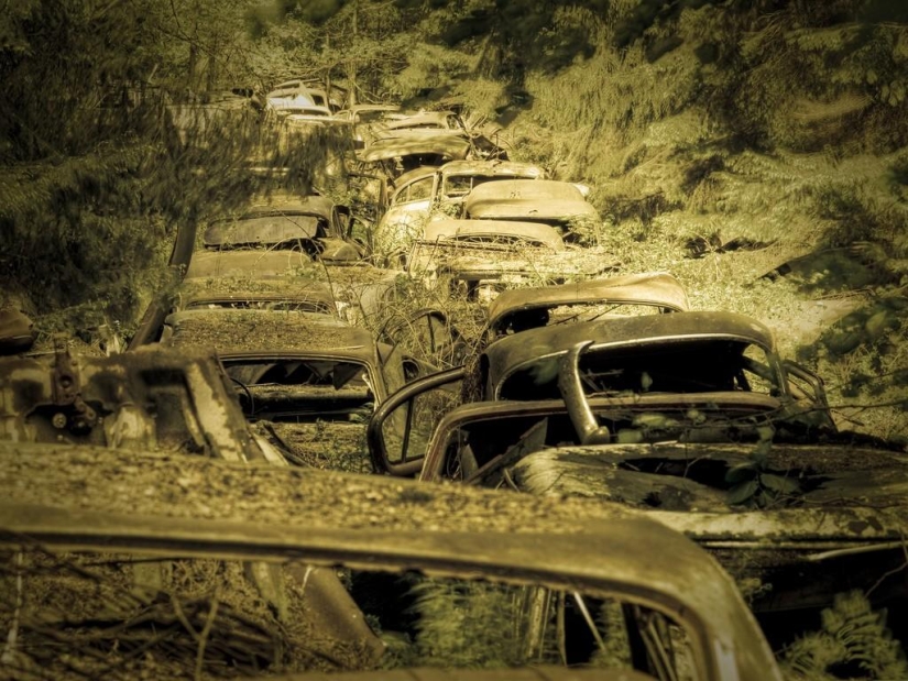 Enorme atasco de tráfico en el bosque belga