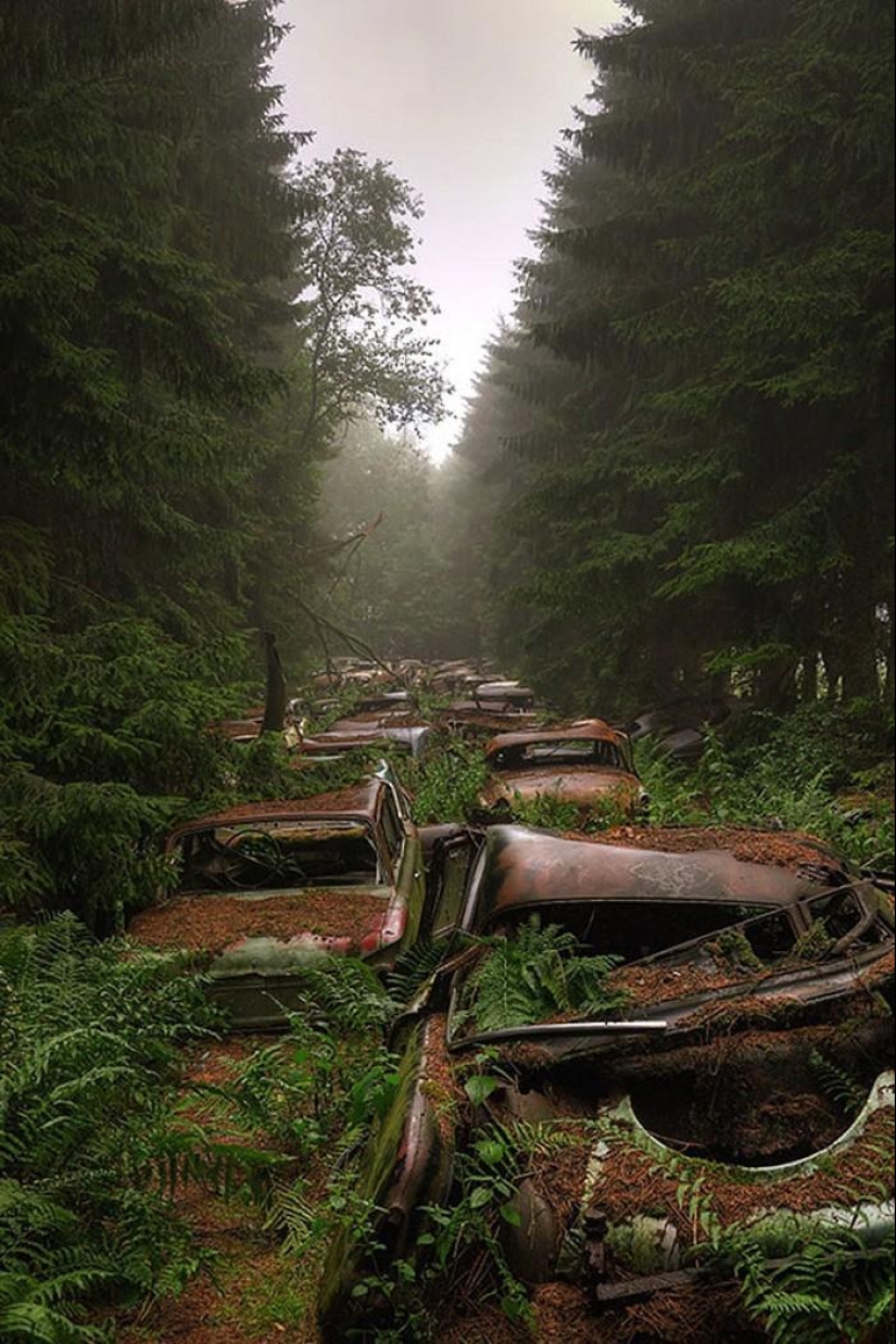 Enorme atasco de tráfico en el bosque belga