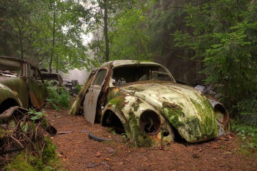 Enorme atasco de tráfico en el bosque belga