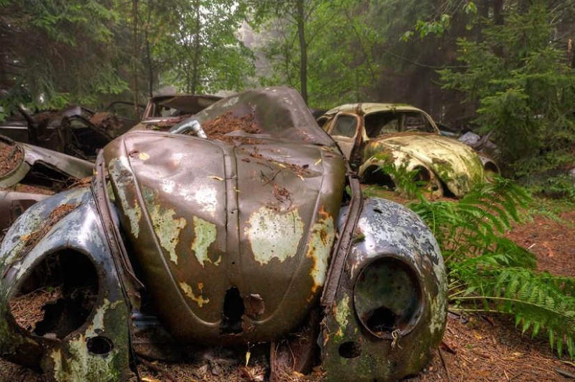 Enorme atasco de tráfico en el bosque belga