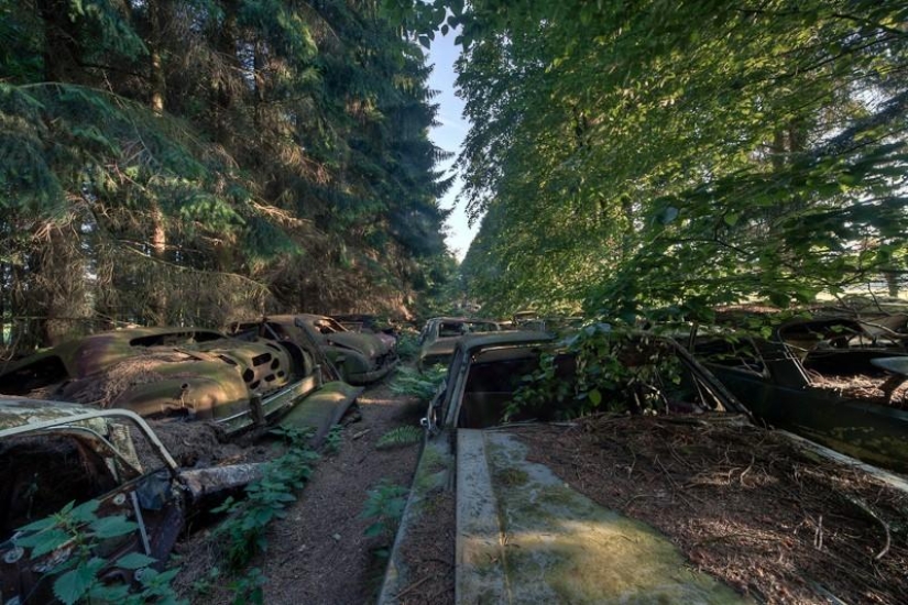 Enorme atasco de tráfico en el bosque belga