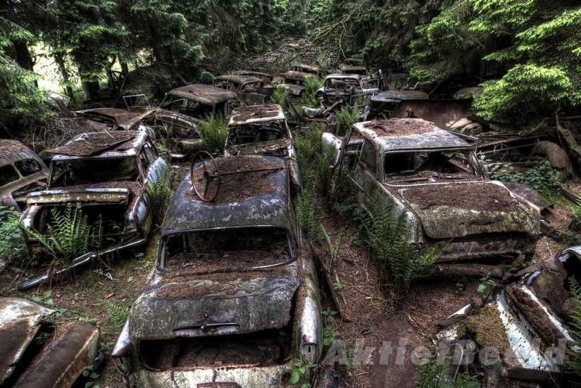 Enorme atasco de tráfico en el bosque belga