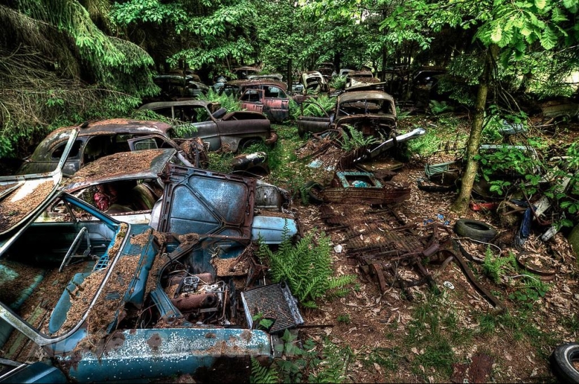 Enorme atasco de tráfico en el bosque belga