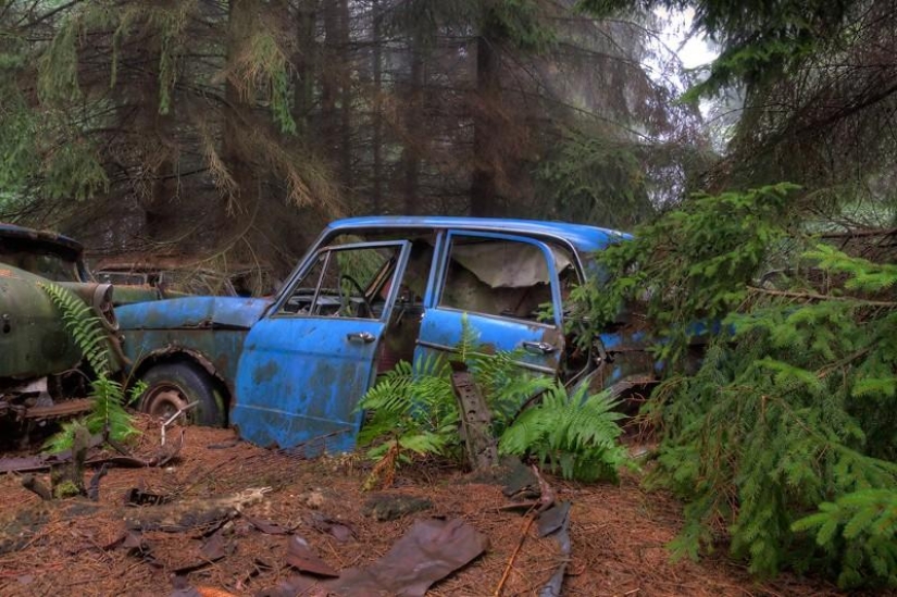 Enorme atasco de tráfico en el bosque belga