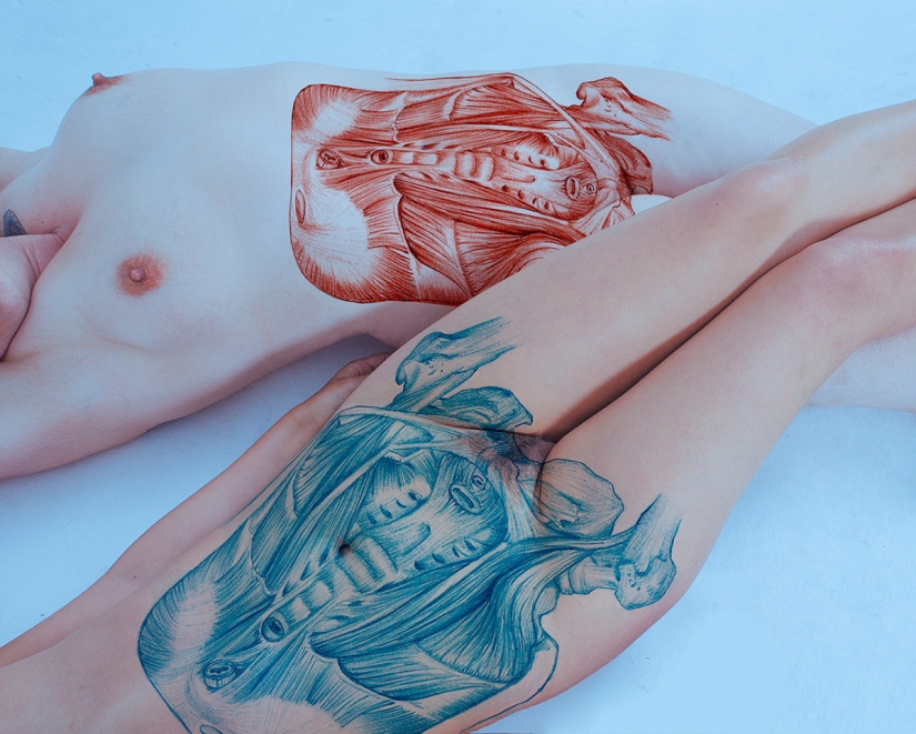 Eroticism and anatomy: show what is hidden under the skin