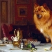Error Polkan y Fido: ¿cómo hizo el más popular de rusia nombres de perros