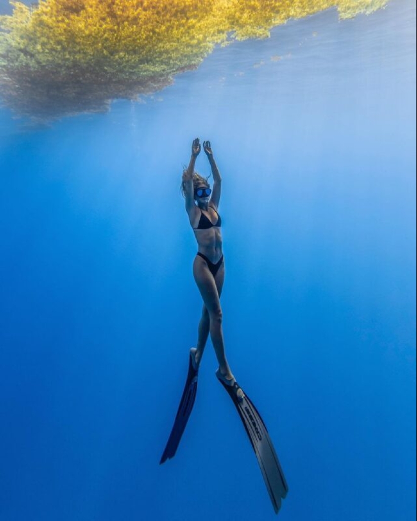 Espectáculo submarino del buzo y fotógrafo Jason Washington