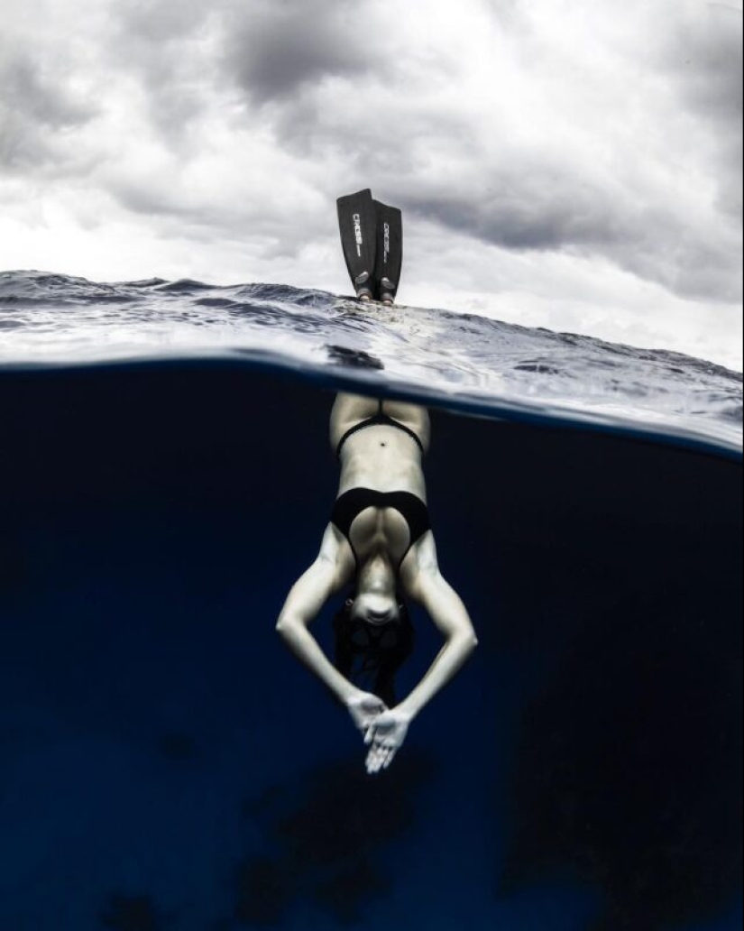 Espectáculo submarino del buzo y fotógrafo Jason Washington