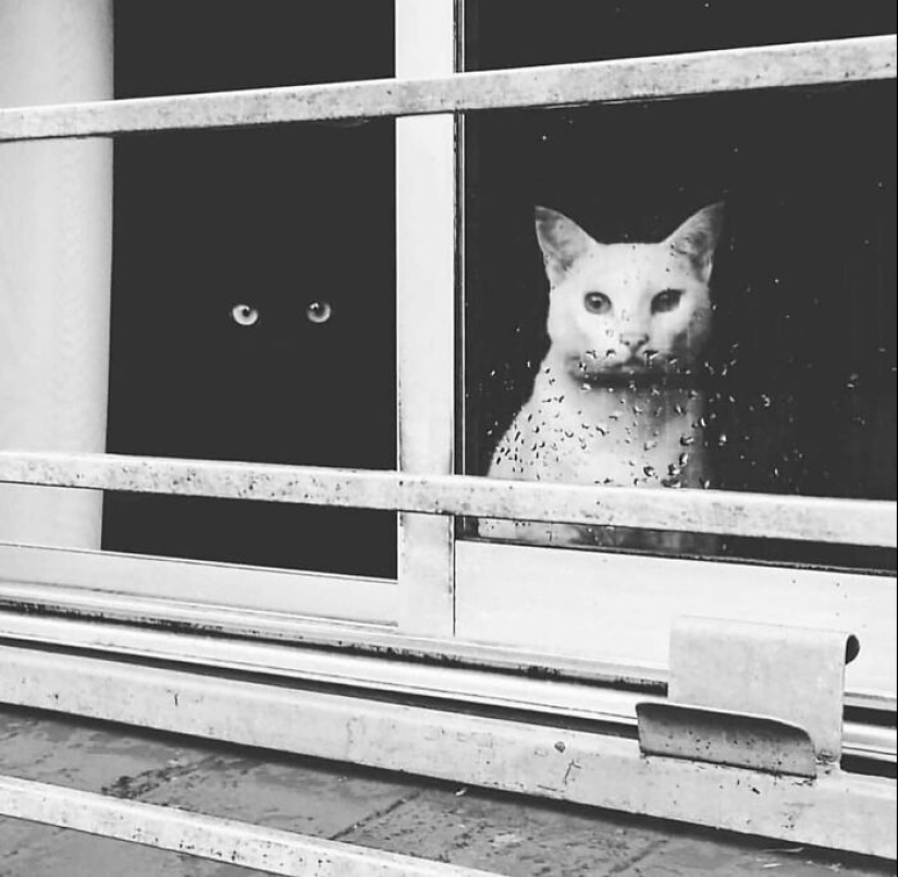 Esta cuenta de Instagram presenta fotografías urbanas y aquí hay 12 de las mejores fotografías en blanco y negro