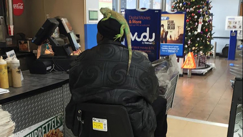 Esta gente acaba de llegar al supermercado americano Walmart para ir de compras