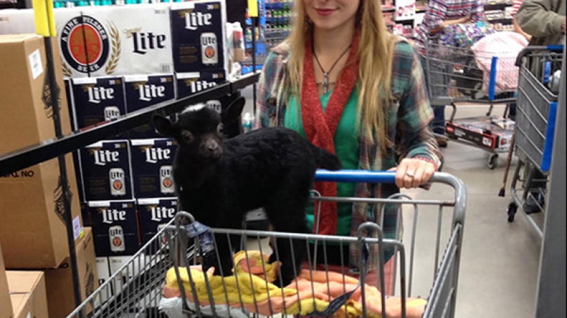 Esta gente acaba de llegar al supermercado americano Walmart para ir de compras