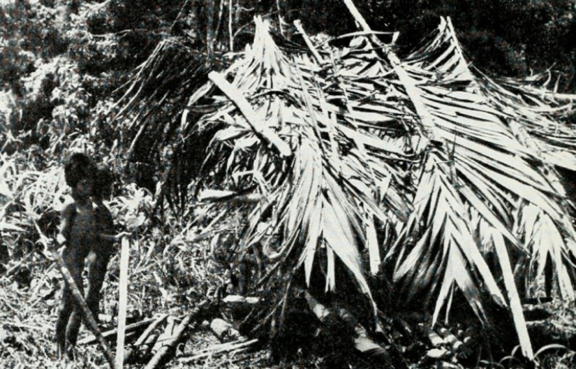 Estafa del Siglo: Una historia sobre una Tribu que Nunca Existió