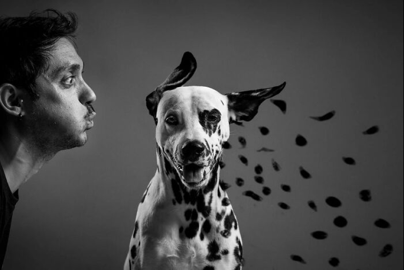 Estas son las 19 mejores fotografías de 2024, según los premios Dog Photography Awards