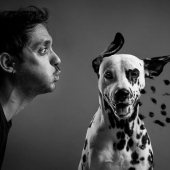 Estas son las 19 mejores fotografías de 2024, según los premios Dog Photography Awards