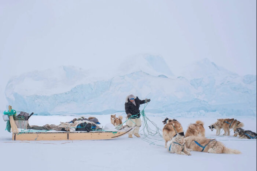 Estas son las 19 mejores fotografías de 2024, según los premios Dog Photography Awards