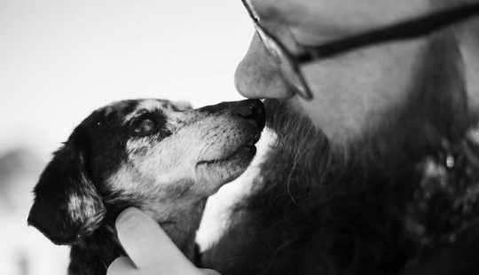 Este fotógrafo captura a personas con sus mascotas antes de cruzar el “Puente del Arcoíris”